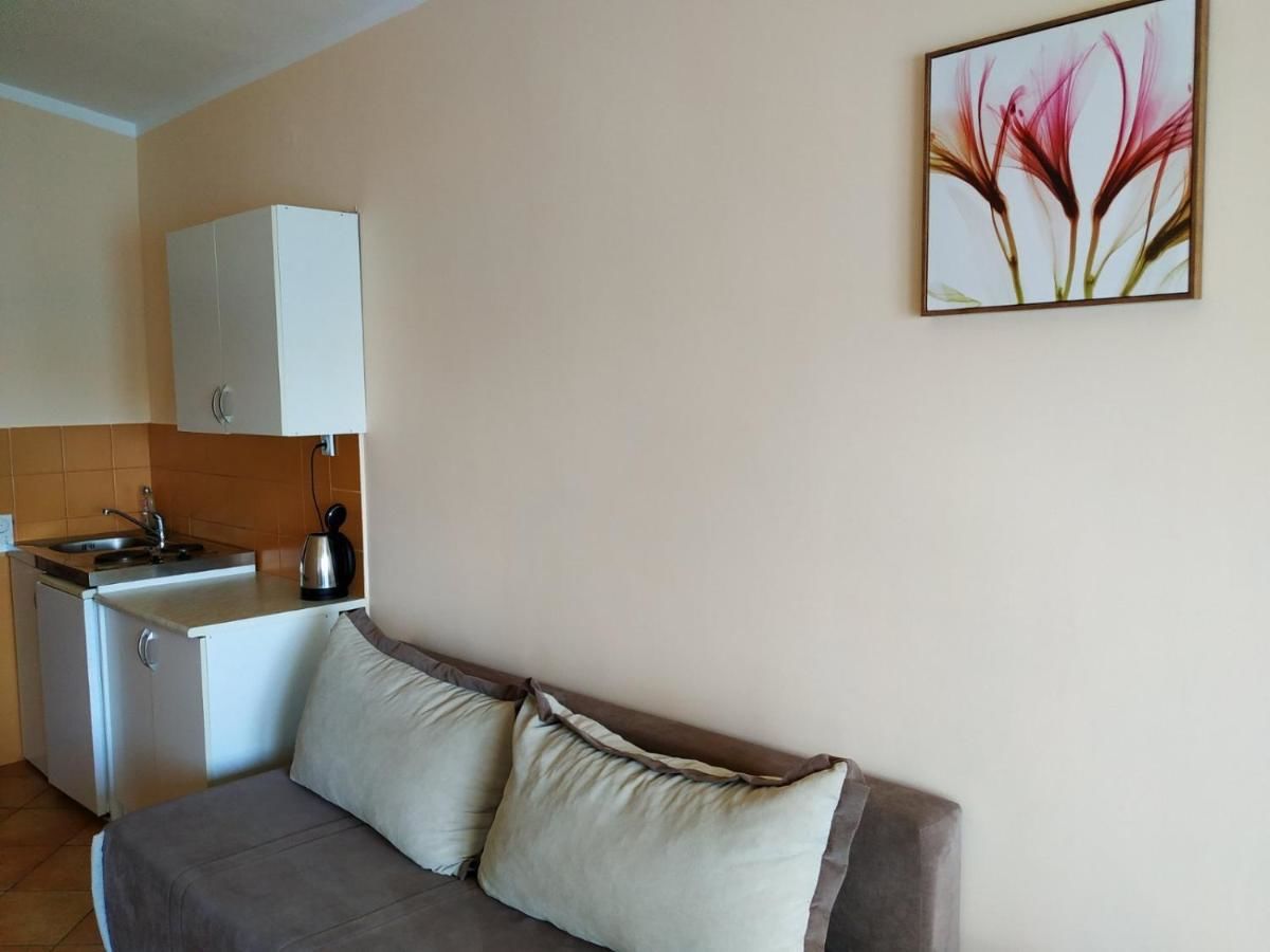 Апартаменты apartmani Miloš Šušter Сутоморе-35