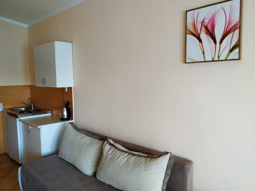 Апартаменты apartmani Miloš Šušter Сутоморе-53